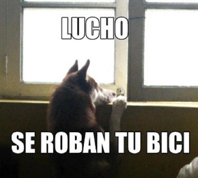 lucho memes en español