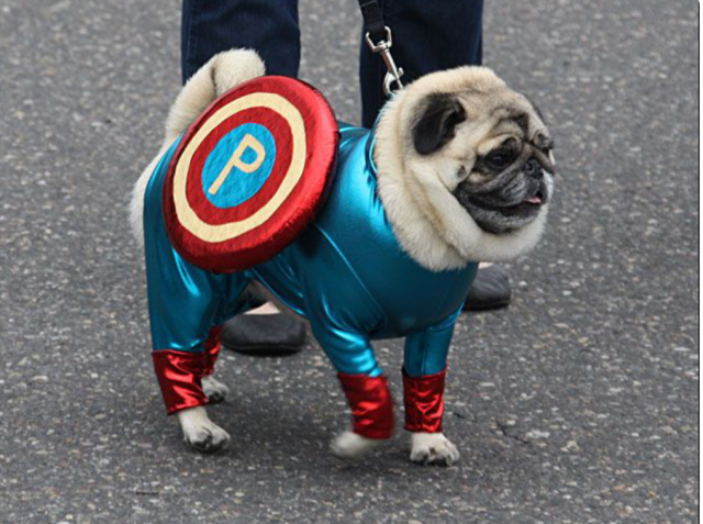 Halloween ya está aqui y los Pugs lo saben