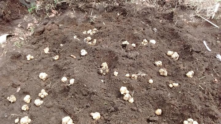 IMG_20150914_125908586