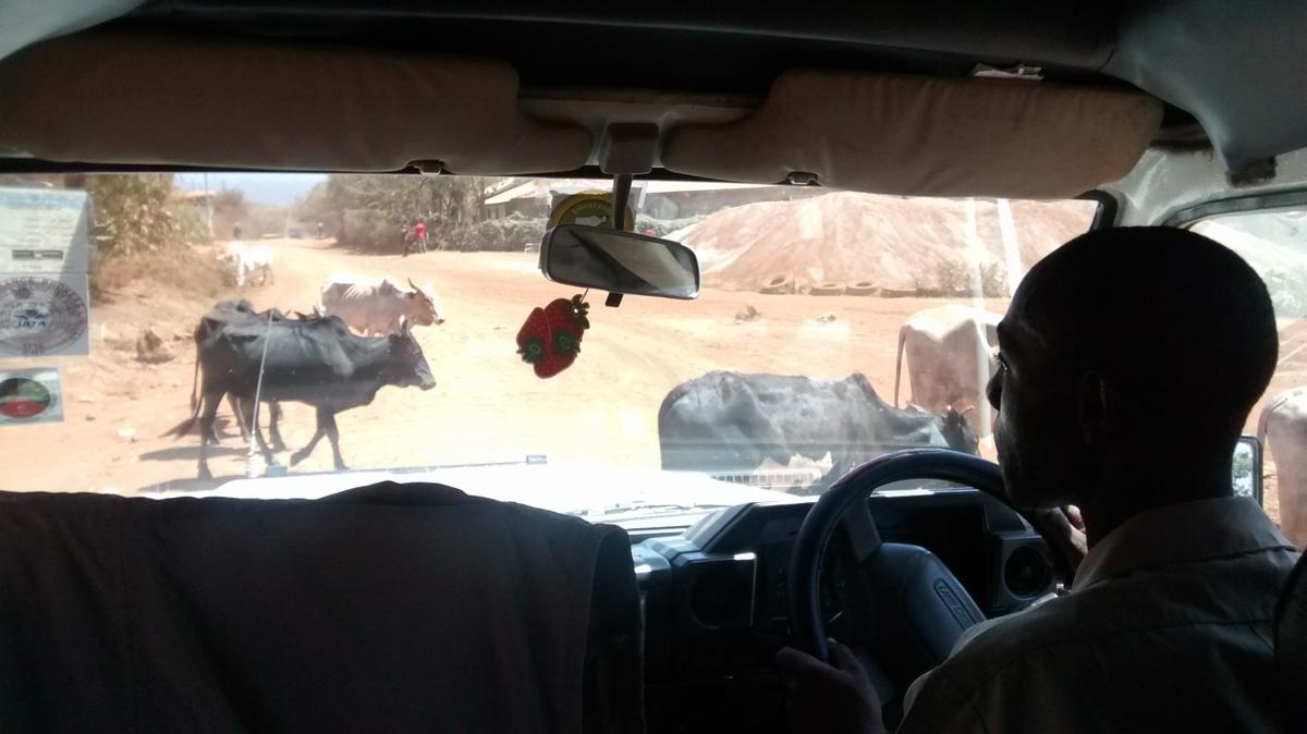 IMG_20150918_104321086