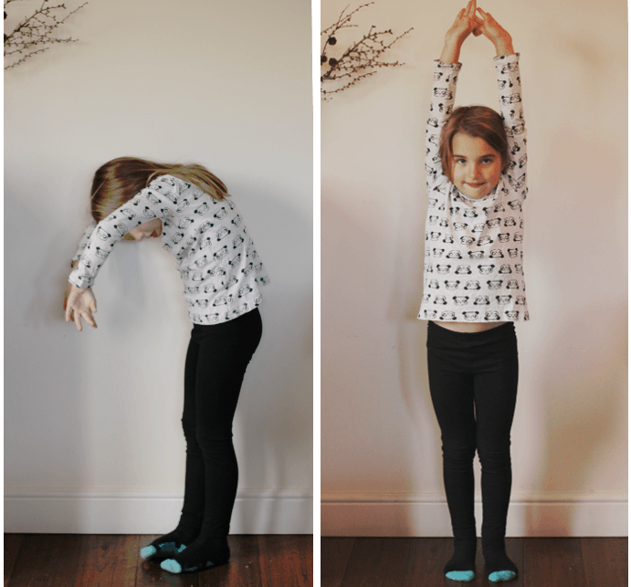 form-drawing-cuerpo-recta-curva