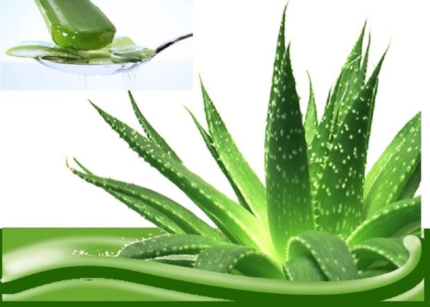 remedio para la psoriasis