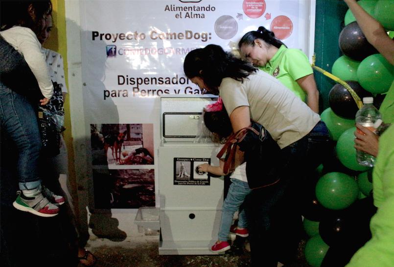 Foto-Comedog-México-Ciudad del Carmen-Primer Comedog 3