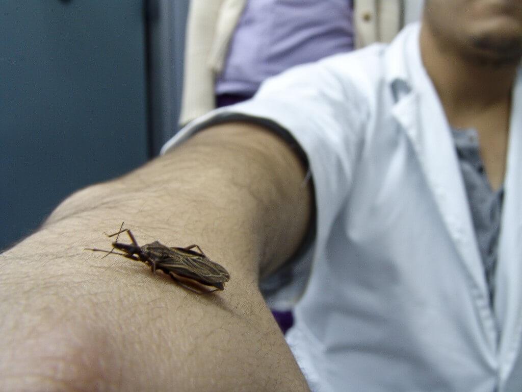 Enfermedad de Chaga 3