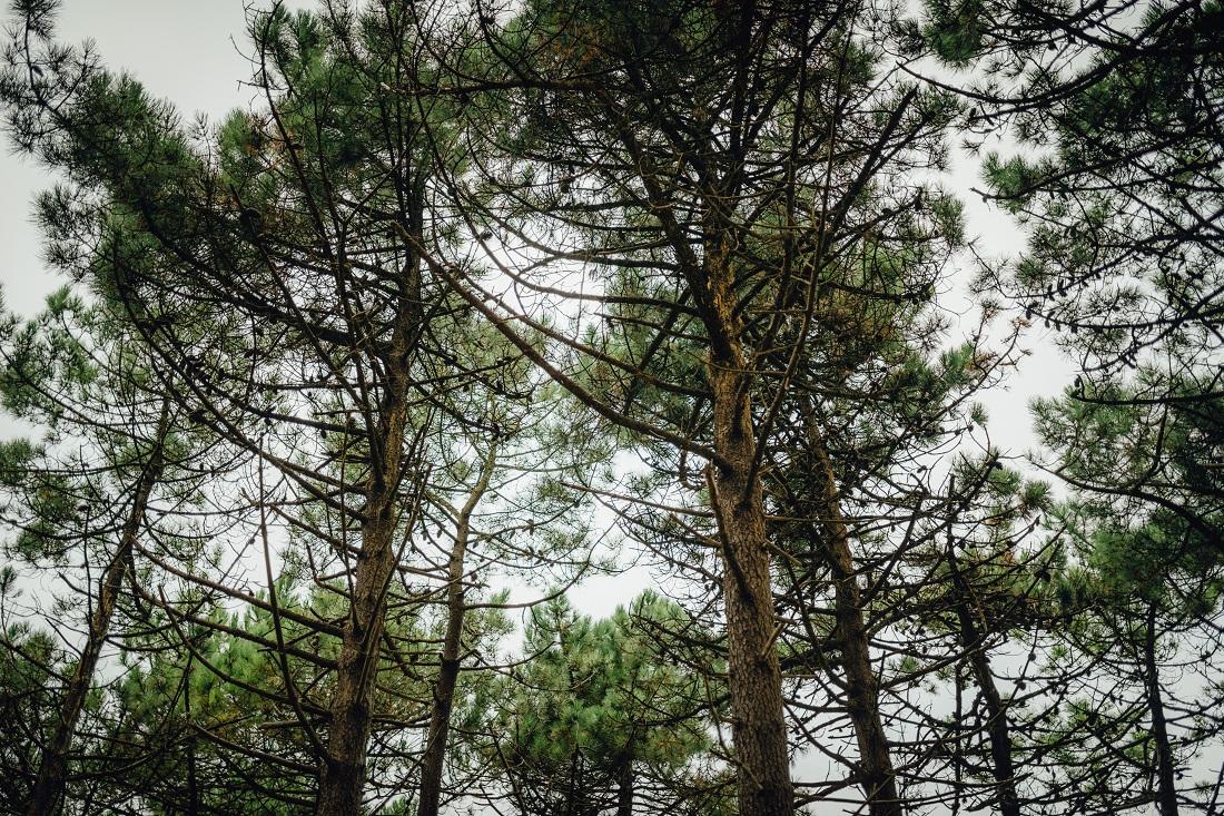 Tropical Love - Una decoración de boda diferente y original en All Lovely Party