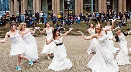 230891106f327044e2fd7d821028ea52