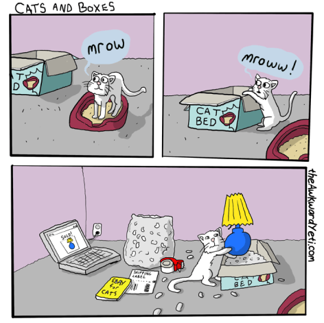 gatos y cajas