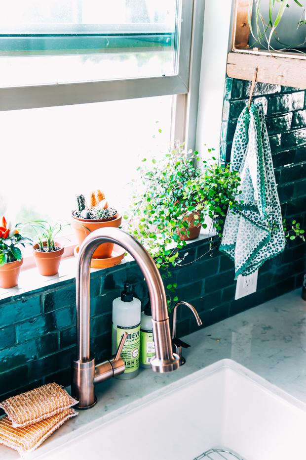 Naturaleza en la cocina