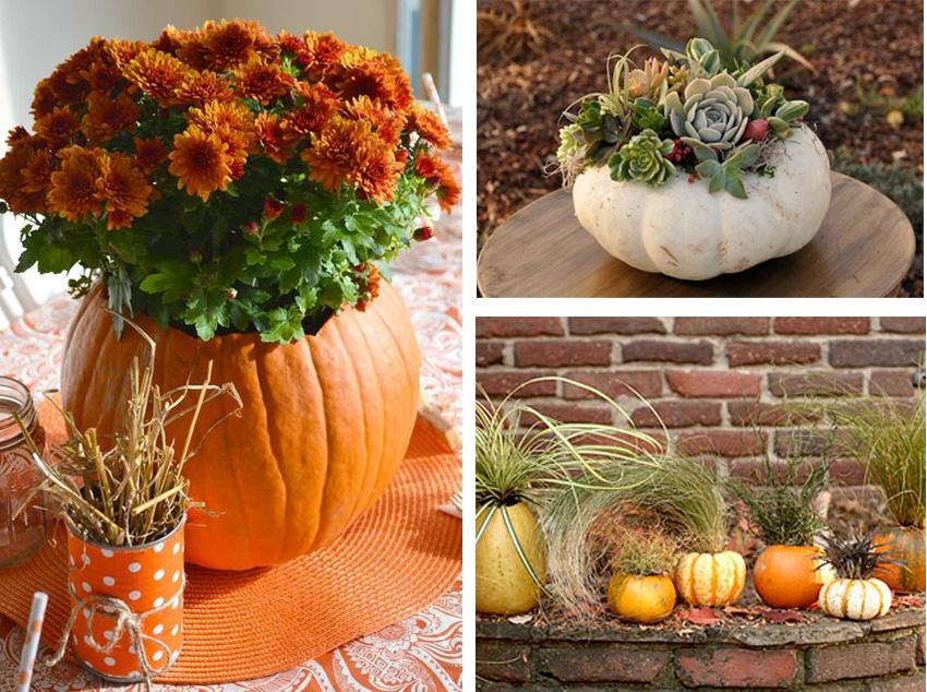 ¡Es tiempo de calabazas! | Decoración