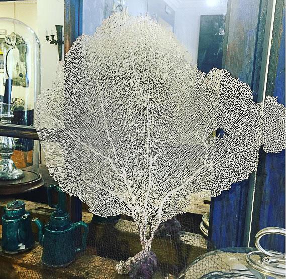 antiguedadesverdegaban6