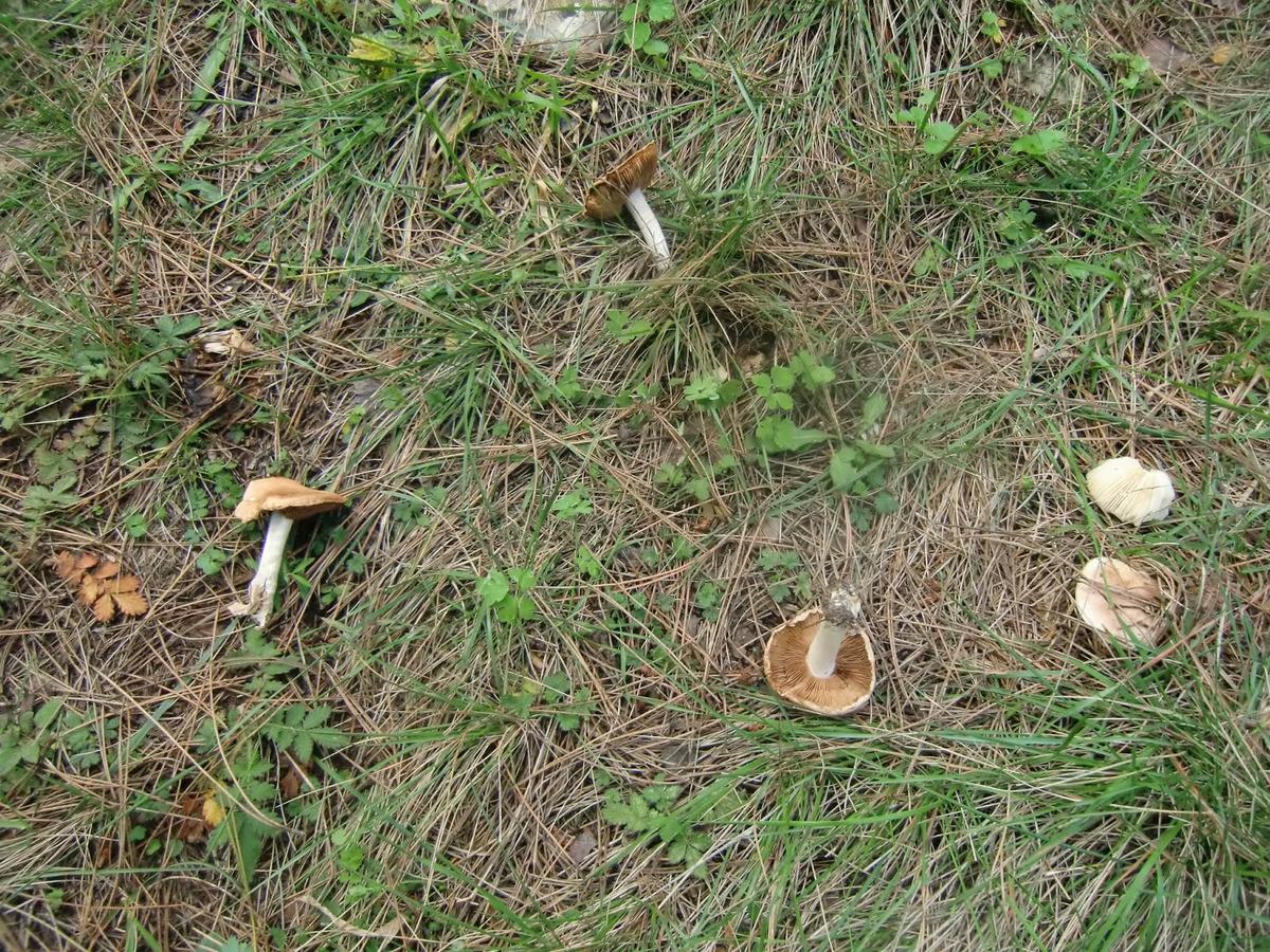 Esto hay que evitarlo