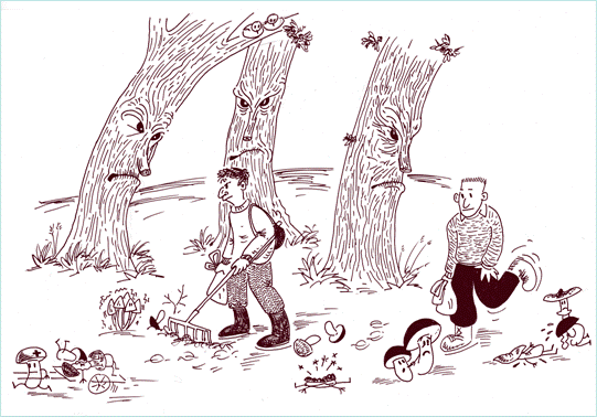 Fuente ilustración: dipualba.es