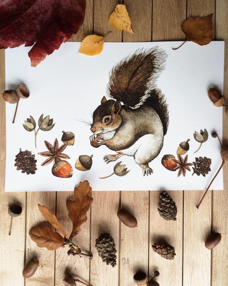 lore-illustration-squirrel-nuts-maow-design-blog