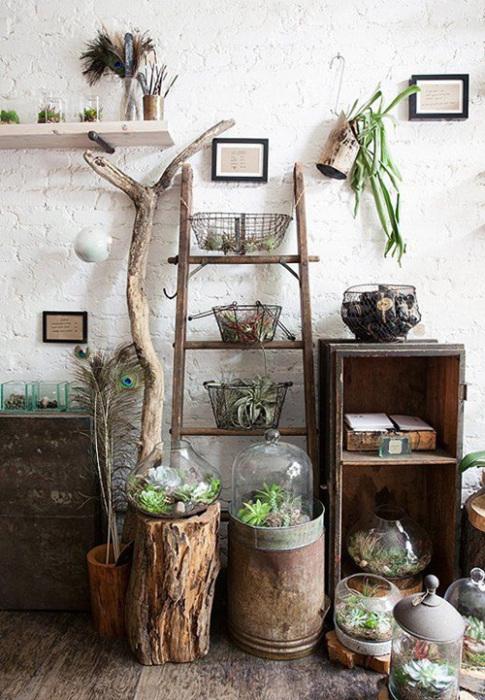 Los 25 rincones con plantas de interior más bellos de Pinterest 1