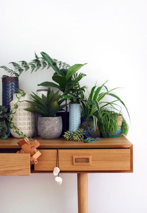 Los 25 rincones con plantas de interior más bellos de Pinterest 17