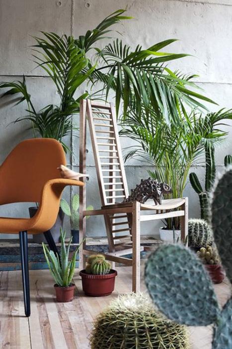 Los 25 rincones con plantas de interior más bellos de Pinterest 18