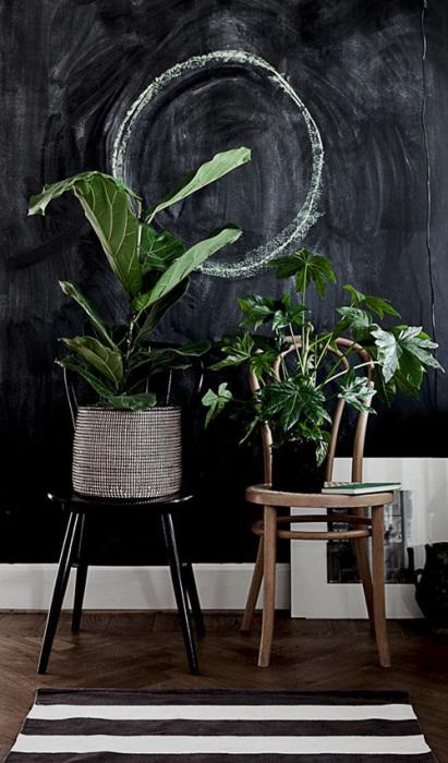 Los 25 rincones con plantas de interior más bellos de Pinterest 19