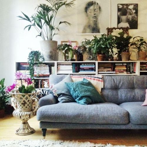 Los 25 rincones con plantas de interior más bellos de Pinterest 16