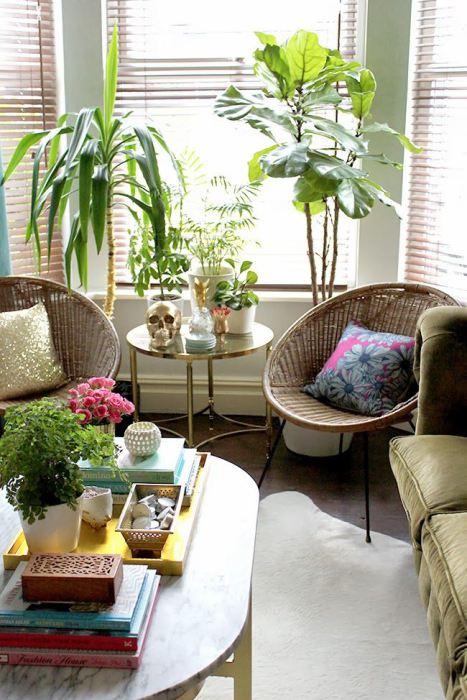 Los 25 rincones con plantas de interior más bellos de Pinterest 14