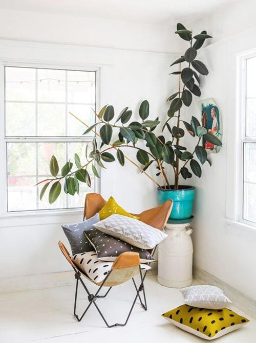 Los 25 rincones con plantas de interior más bellos de Pinterest 13