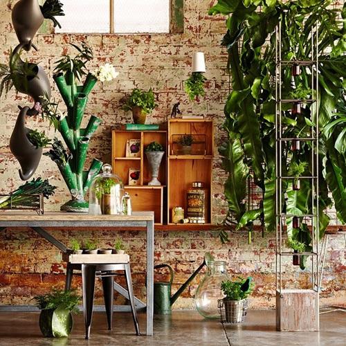 Los 25 rincones con plantas de interior más bellos de Pinterest 25