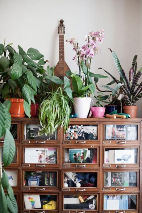 Los 25 rincones con plantas de interior más bellos de Pinterest 4