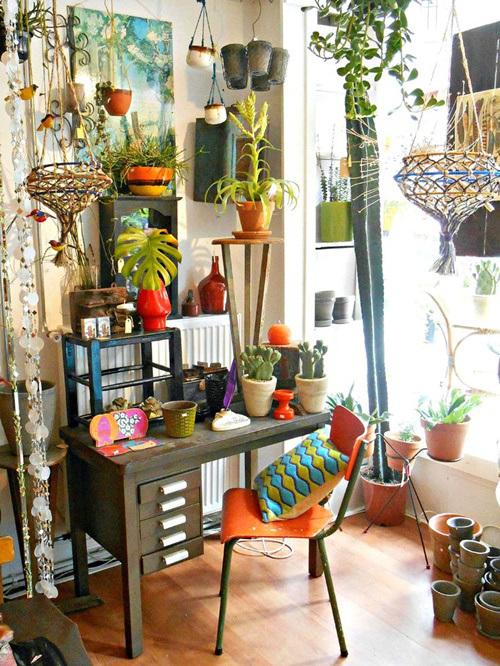 Los 25 rincones con plantas de interior más bellos de Pinterest 5