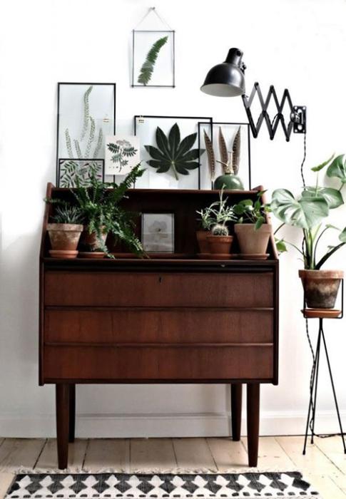 Los 25 rincones con plantas de interior más bellos de Pinterest 8