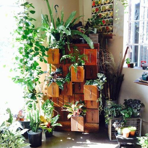 Los 25 rincones con plantas de interior más bellos de Pinterest 9