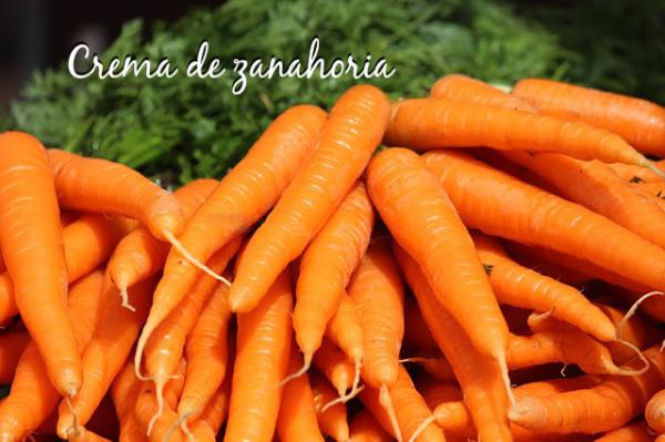 receta crema de zanahoria