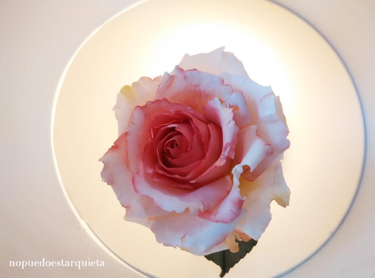 Creativa Madrid manualidades decoración, fondant, pastelería creativa