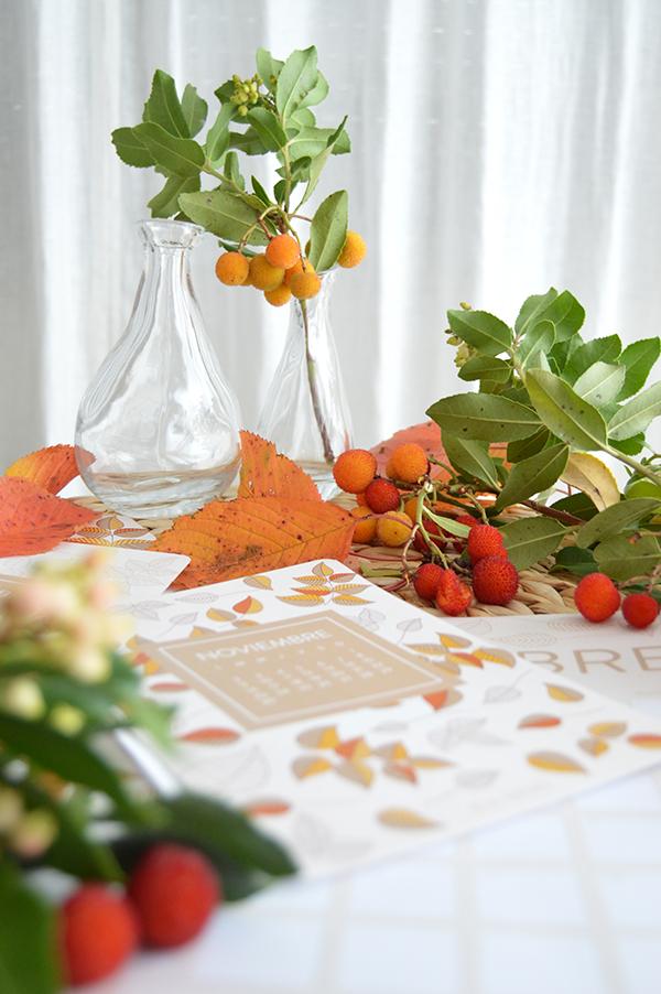 AYS-DESCARGABLE-NOVIEMBRE-2