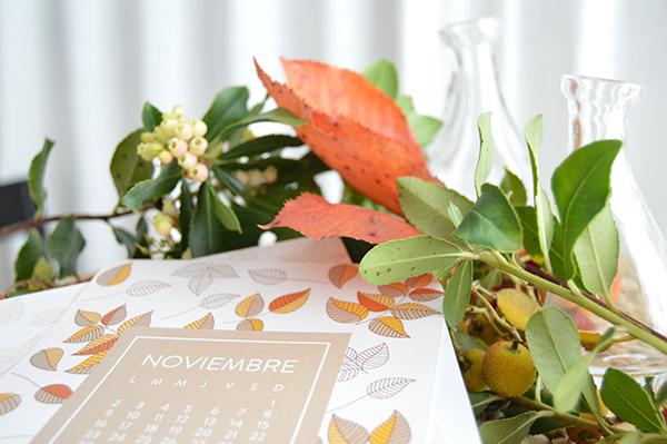 AYS-DESCARGABLE-NOVIEMBRE-3