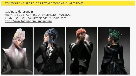 Premios Fígaro 2015 Toni Y Guy Amparo Carratala