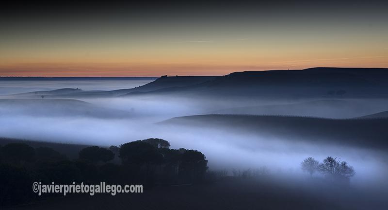Anochecer en la localidad de Roturas. [Ribera del Duero. Valladolid. Castilla y León. España. © Javier Prieto Gallego]