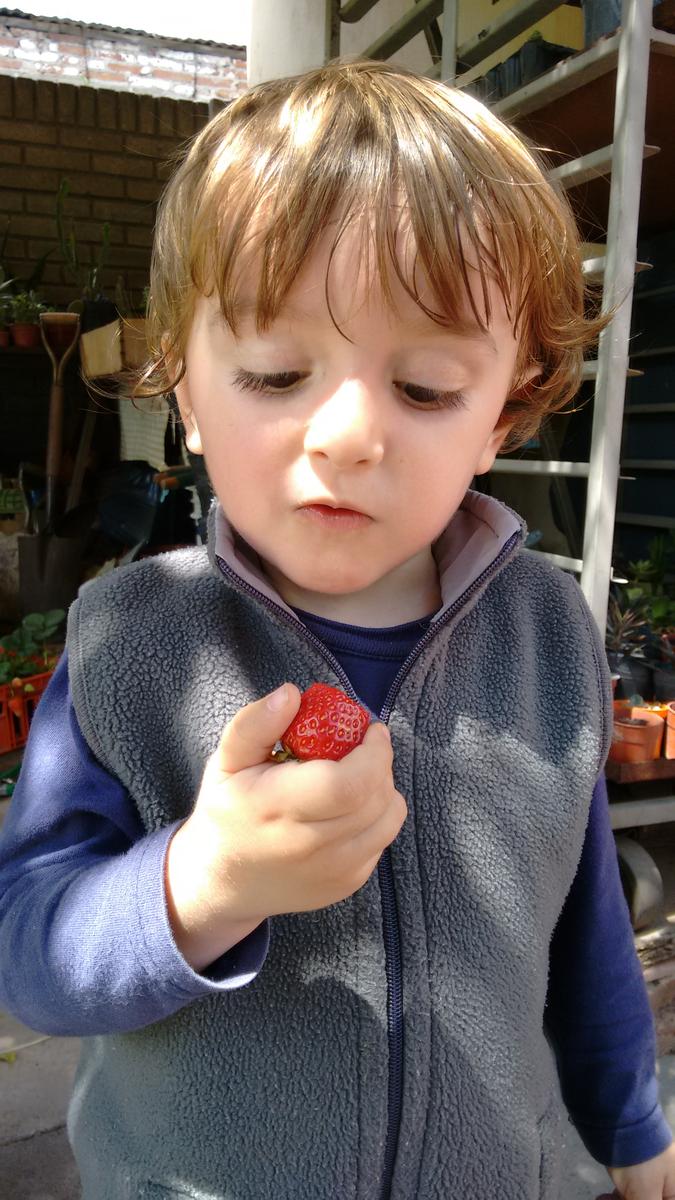 IMG_20151027_120105617