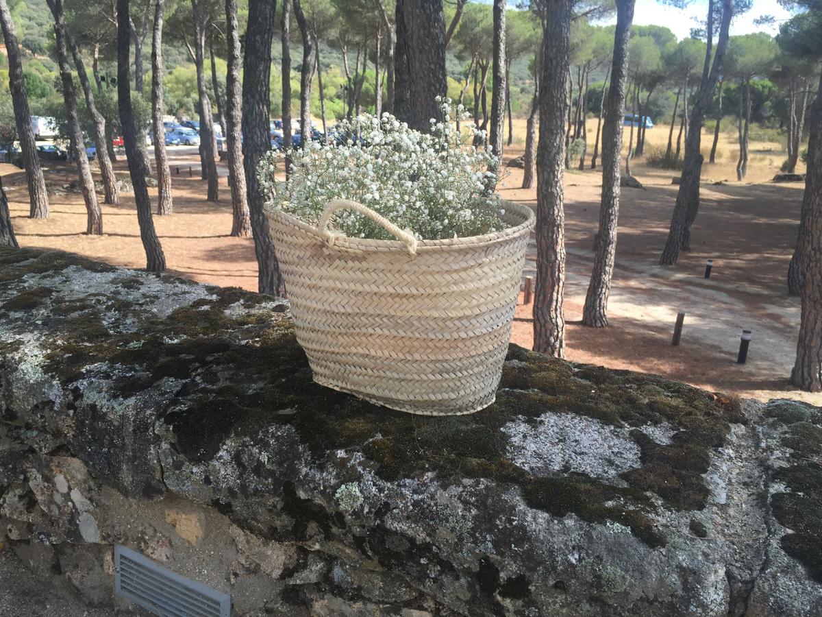 colores-de-boda-decoracion-rustica-capazo-flores