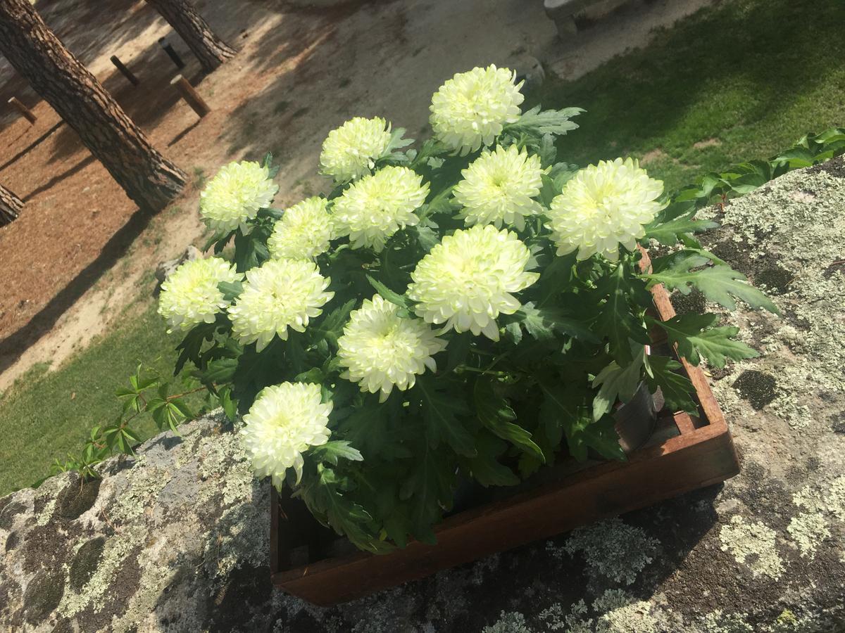 colores-de-boda-organizacion-bodas-068-2.-rincon-bienvenidaJPG