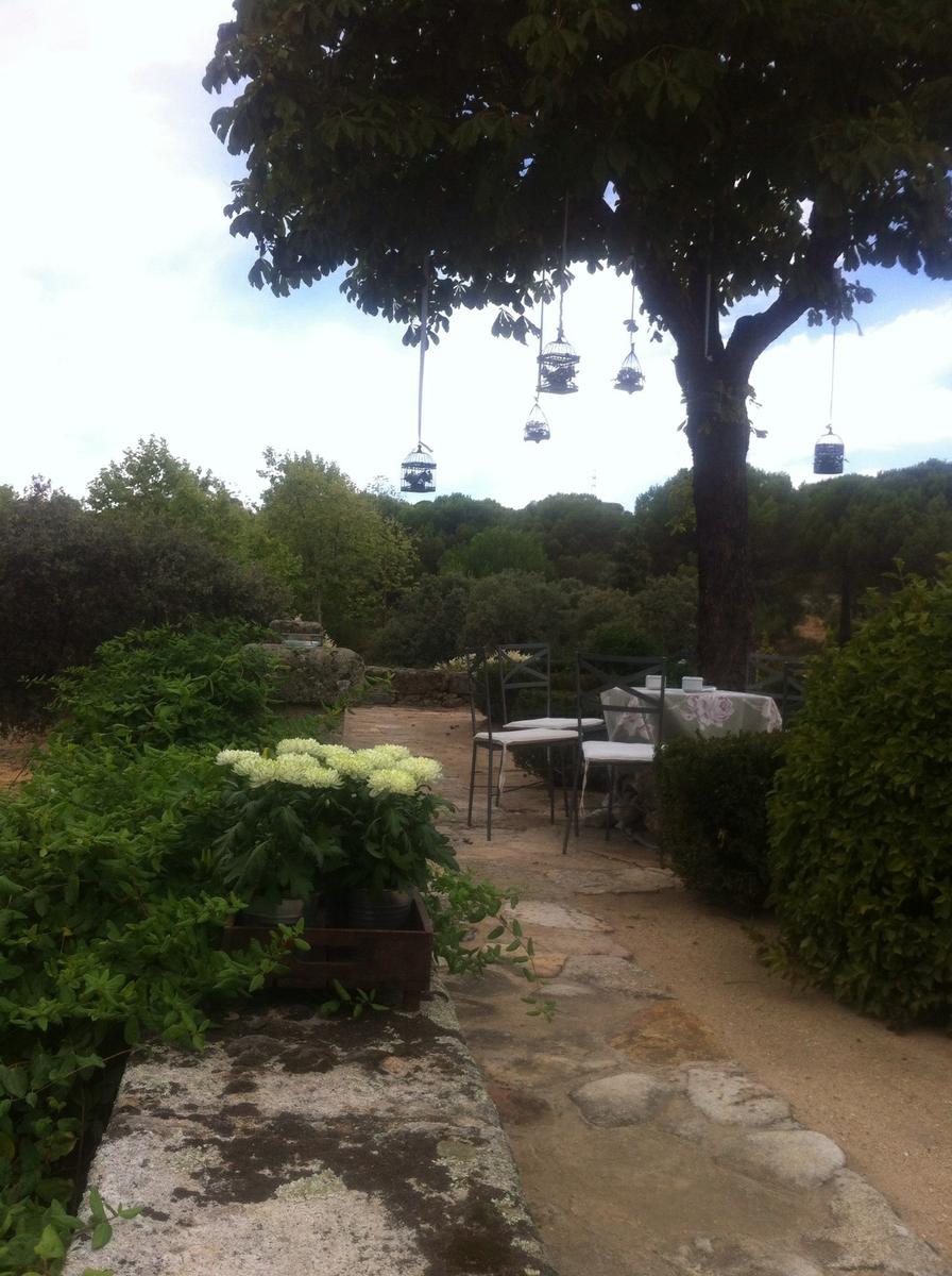 colores-de-boda-decoracion-jaulas-vintage-suspendidas-flores