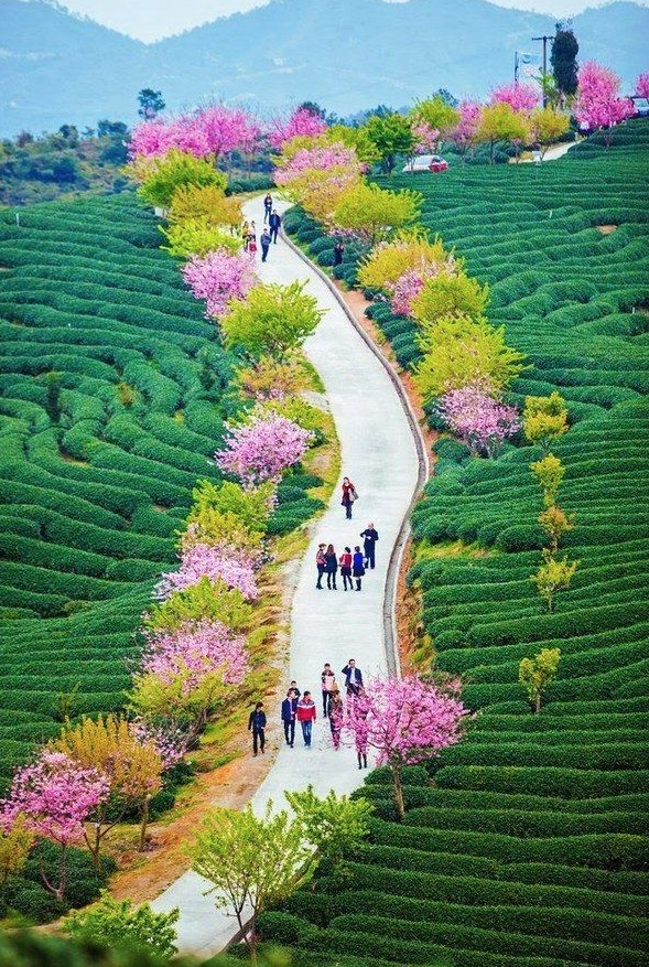 Captura de pantalla 2015-10-31 a las 11.15.42