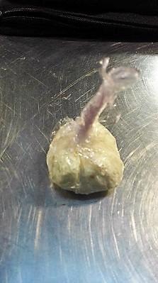 Trampantojo de tomate (4)