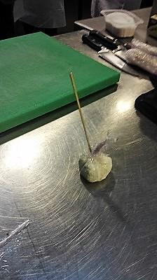 Trampantojo de tomate (3)