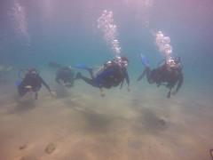 Buceo en Chichiriviche de La Costa
