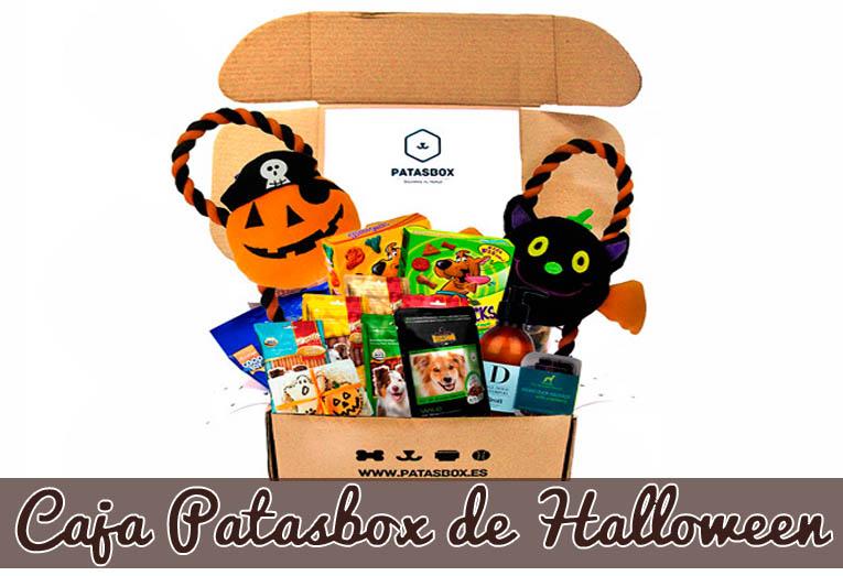 caja patasbox de halloween