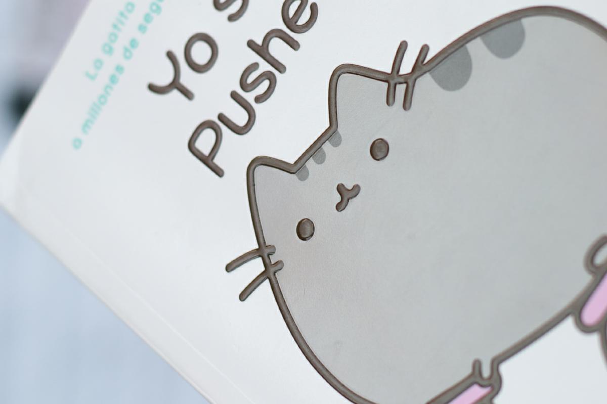Yo soy Pusheen, Relieve del libro