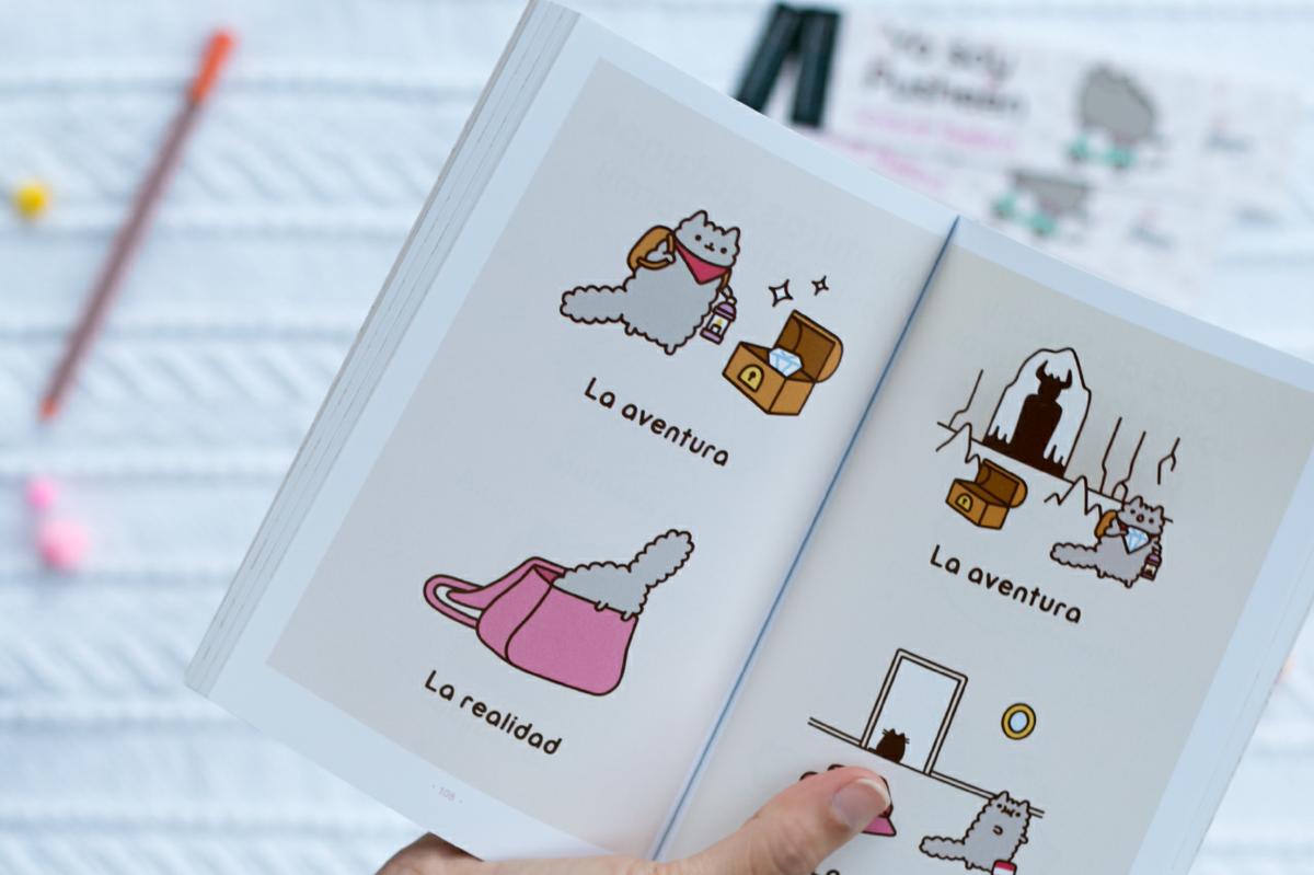 Yo soy Pusheen, Expectativa y realidad de Stormy