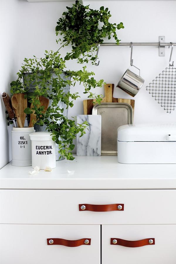 AYS-COCINA-PLANTAS-1