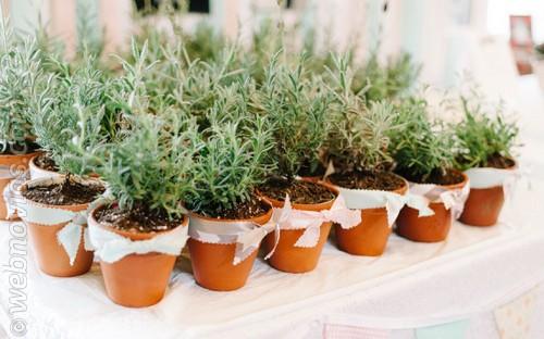 Morning-Light-by-Michelle-Landreau-smp