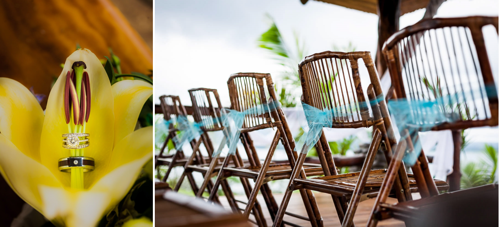 Crissorama www.proyectobodacr.com