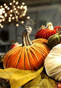 Halloween.Decoración de Otoño